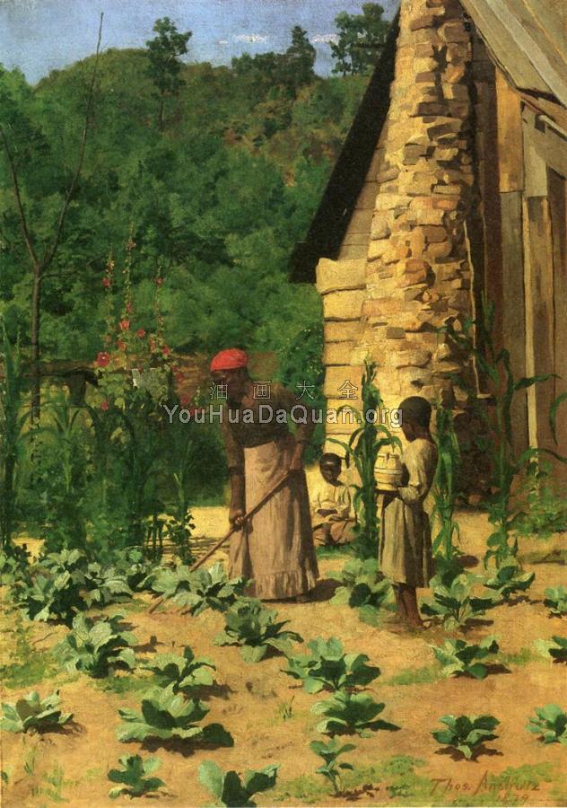 The Way They Live - 托马斯·波洛克·安舒茨